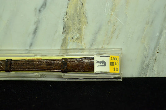 10mm HIRSCH BROWN LEATHER VINTAGE WATCH BAND STRAP GOLD TONE BUCKLE -NIB