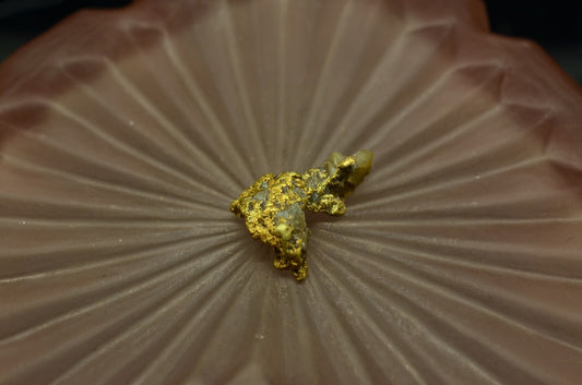 20K Yellow Gold natural gold nugget 2.5 grams