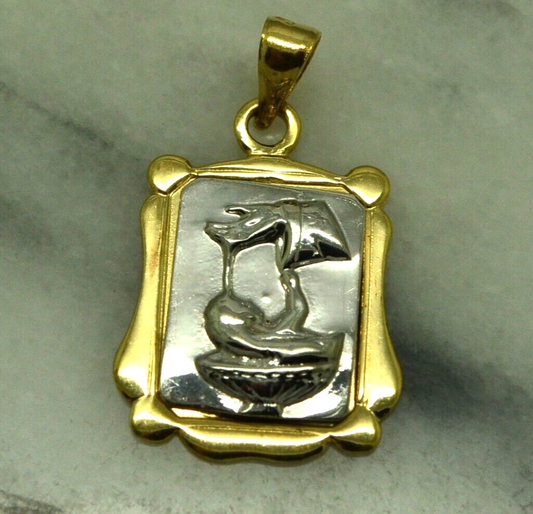 14K Yellow & White Gold framed Baptism Scene pendant charm
